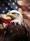 5D Eagle Diamond Painting Kits - DIY Diamond Art Kits for Adults American Flag, Full Round Drill - Crystal Cross Stitch - Adults Craft for Wall & Office Decor - 12x16 inch